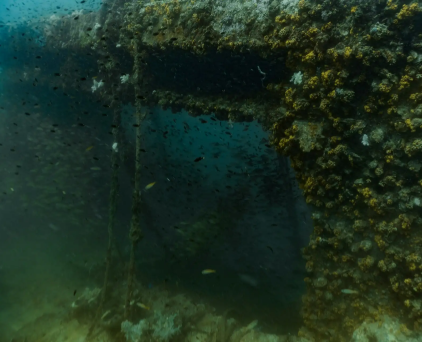 Team Building à Barcelone