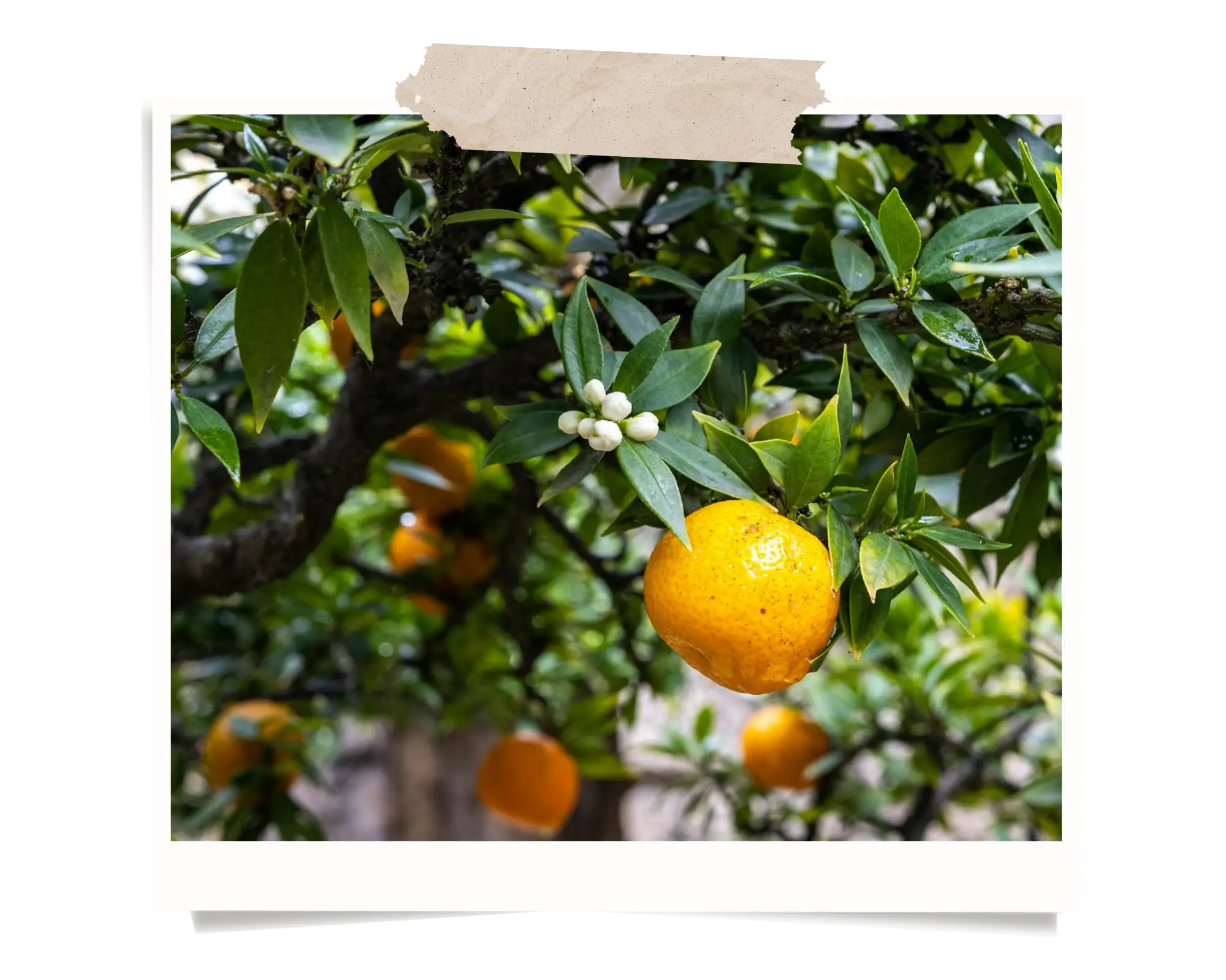 Team Building à Valence