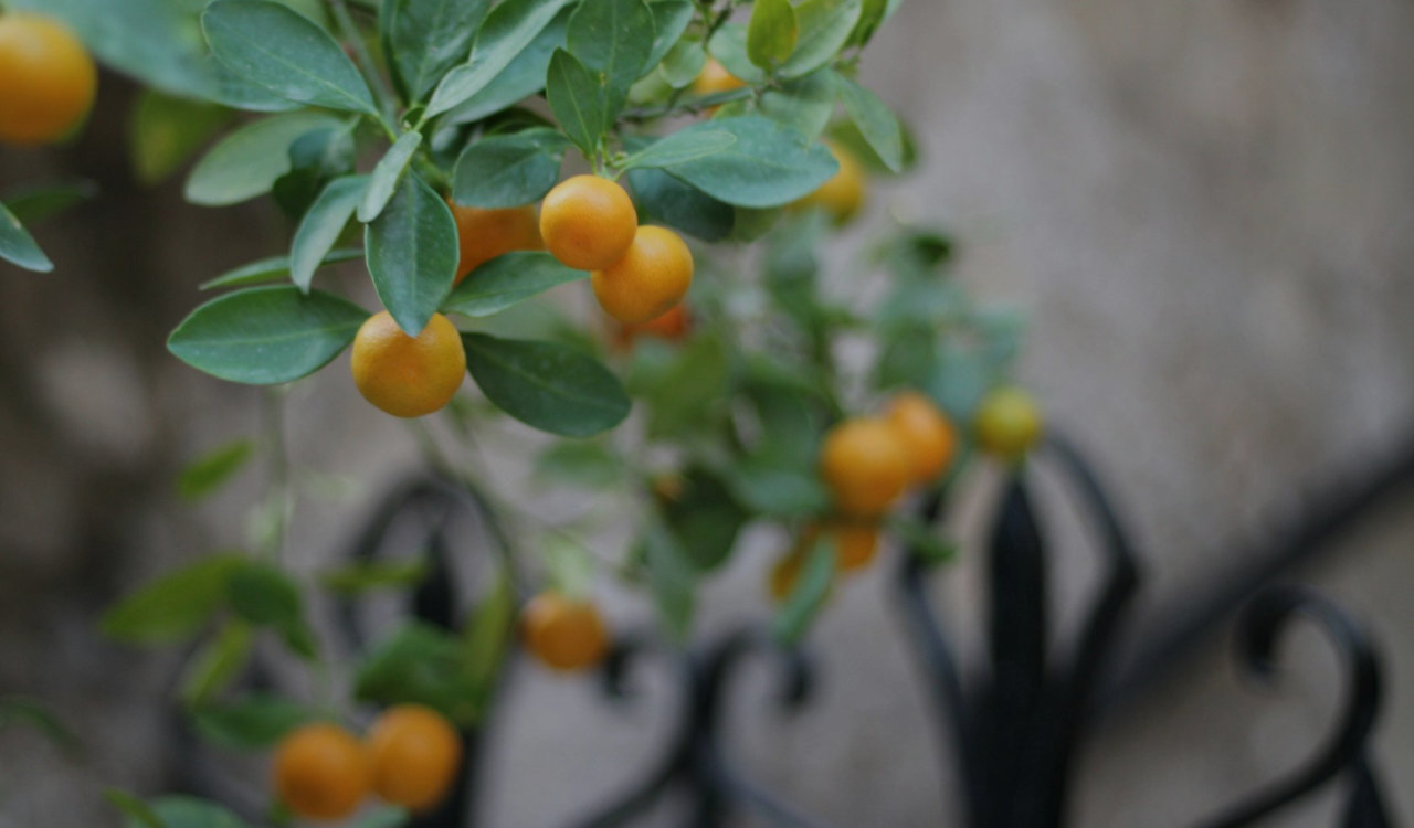 Team Building en Espagne