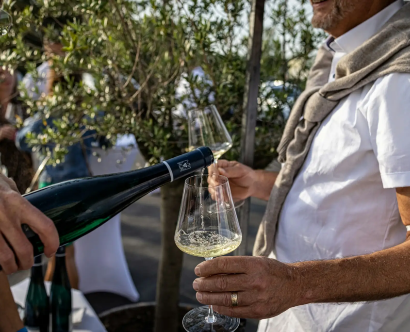 Challenge dégustation vins & txakoli